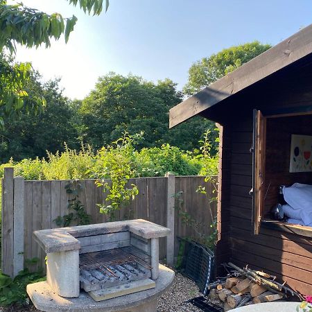 Shrublands Garden Cabin Bed & Breakfast Colchester Dış mekan fotoğraf