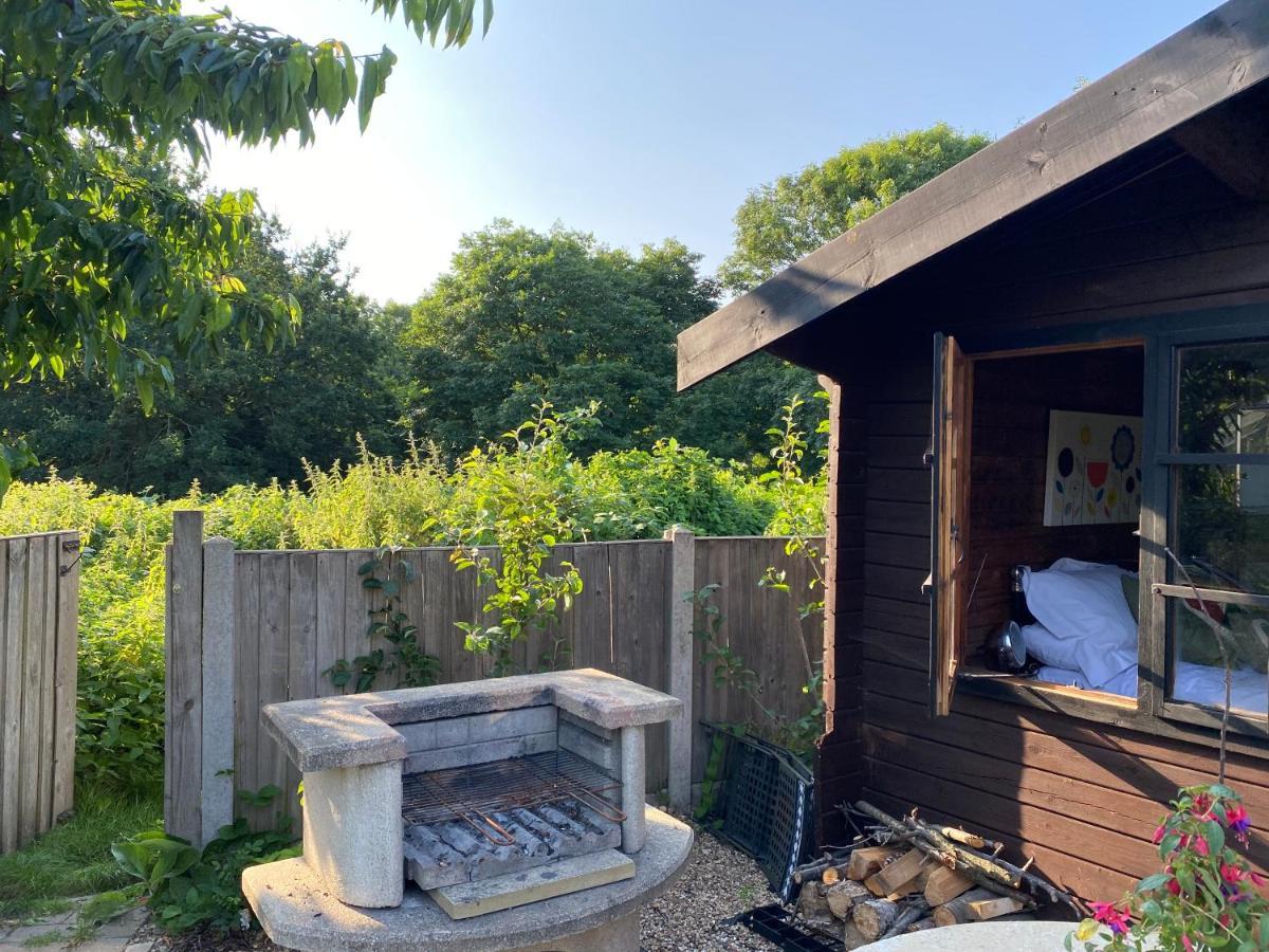 Shrublands Garden Cabin Bed & Breakfast Colchester Dış mekan fotoğraf